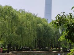 -团结湖公园