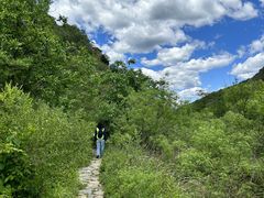 -北京西山国家森林公园