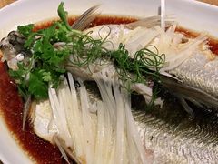 -宁波柏悦酒店·钱湖渔港