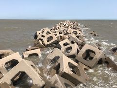 -东疆建设开发纪念公园
