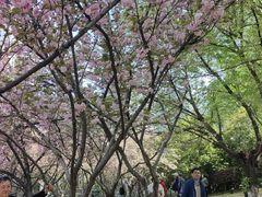 -苏州河梦清园环保主题公园