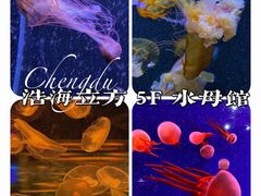-成都浩海立方海洋公园