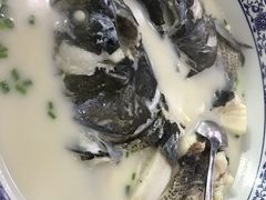 -全乐鱼馆·淳牌有机鱼直营店