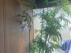 -湘邻呷铺·田园家宴(汉基广场店)