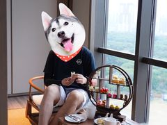 -The Lounge大堂酒廊·咖啡·沙拉·下午茶(金茂深圳JW万豪酒店)