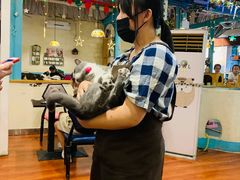 -猫小院猫主题咖啡厅(北锣店)