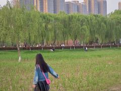 -渭滨公园