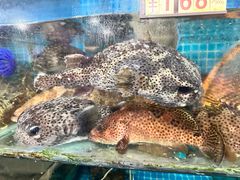 -岛中岛·海鲜大排档·万宁老字号(东澳店)