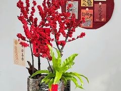 -拾花记花艺·求婚·订婚·生日布置(高新店)