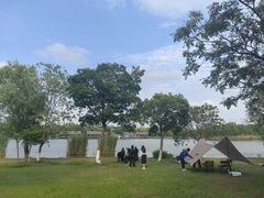 -长广溪湿地公园