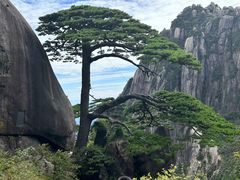 -黄山风景区