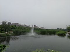 -前关湿地公园