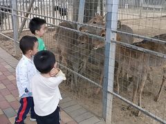 -迪茵湖田家舍生态农场