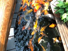 -上海大自然野生昆虫馆(东方明珠·爬宠昆虫探索中心)