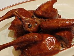 -新雅粤菜馆(南京东路店)