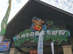 -苏州乐园森林水世界