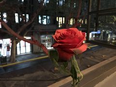 -李先生的首尔小馆(松江启源广场店)