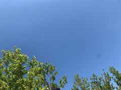 -水西公园