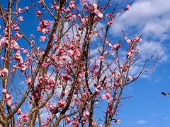 -丽江泸沽湖景区