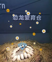 -恐龙探索乐园(磁器口店)