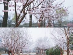 -三里河公园