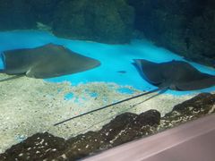 -常州海昌海洋探索馆