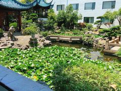 -華僑飯店中餐厅