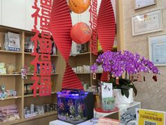 -东日国际动物医院·CT·心脏专科(桃源分院)