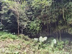-海口火山口国家地质公园