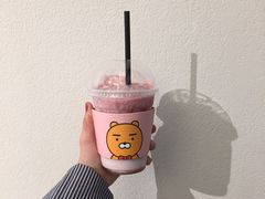 -KAKAO FRIENDS(弘大店)
