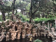-叶家花园