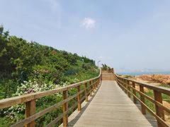 -青岛第三海水浴场