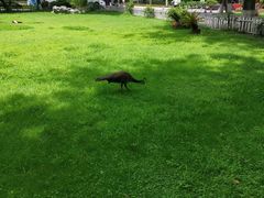 -西昌邛海宾馆