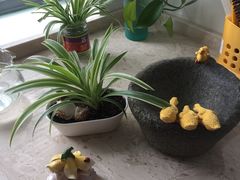 -新湖明珠城