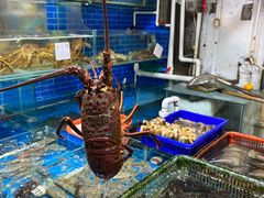 -船奇蒸汽海鲜·闽菜(八市海鲜总店)