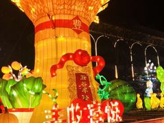 -金城公园