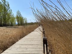 -野鸭湖国家湿地公园