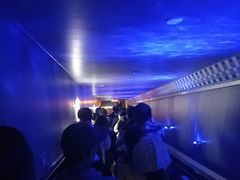 -白鹤梁水下博物馆