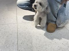 -FAELING PETS美天灵宠物(富力广场店)