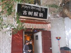 门面-古树酸奶(八廓南街店)