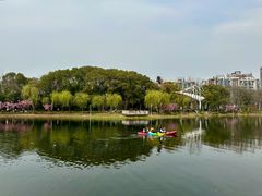-新江湾城公园