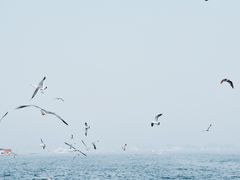 -大连海昌东方水城