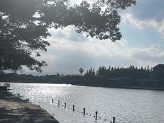 -江心屿景区