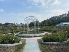 -嘉北郊野公园