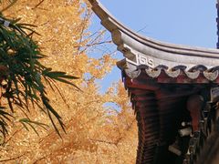 -西园戒幢律寺