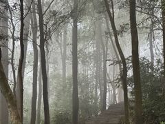 -火炉山森林公园