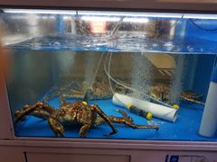 -真情鲍鱼海鲜汤