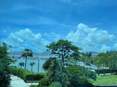 -希尔顿南海酒店·观廊大堂吧·海景下午茶