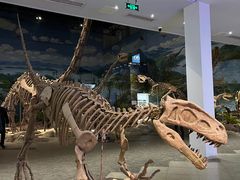 -自贡恐龙博物馆