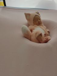 -西瓜庄园儿童摄影